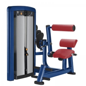 LIFE FITNESS INSIGNIA SERIES BACK EXTENSION