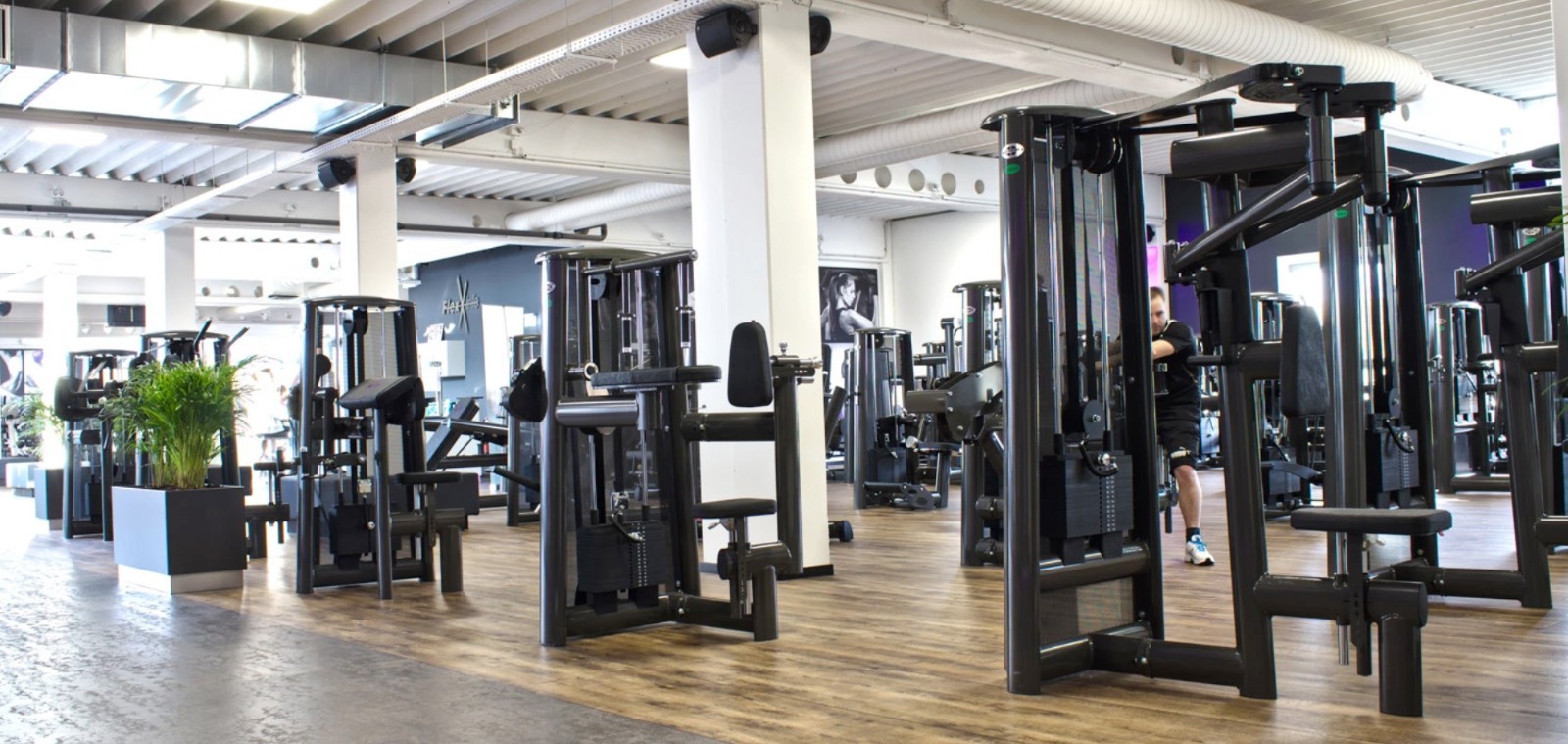 HAMMER FITNESS-MTS 