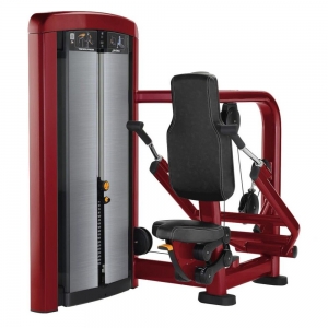 CHINA LIFEFITNESS MACHINE INSIGNIA SERIES TRICEPS PRESS