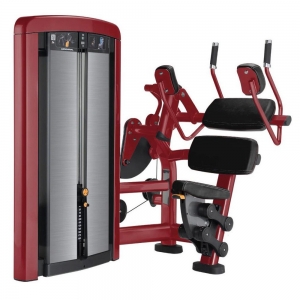 china gym fitness machine INSIGNIA SERIES ABDOMINAL
