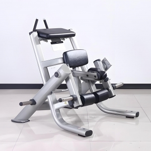 china GYM FITNESS PLATE LOADED KNEELING LEG CURL
