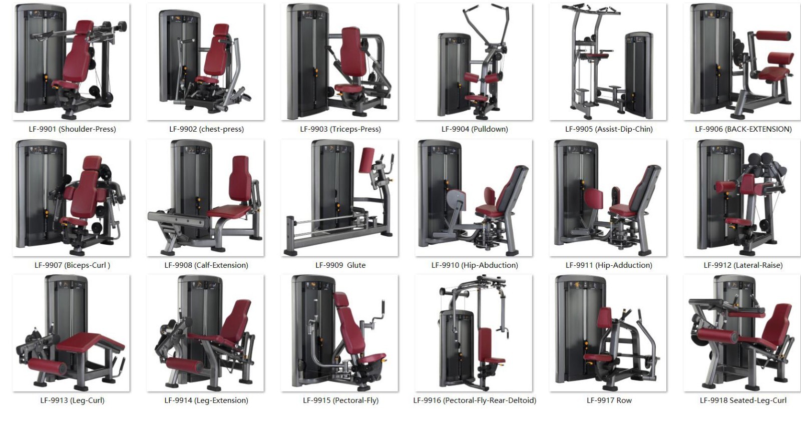 GYM FITNESS-Insignia