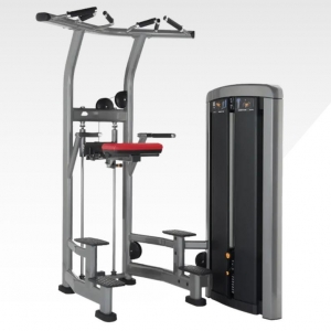 china GYM FITNESS INSIGNIA SERIES ASSIST DIP CHIN