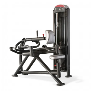 china pantata gym machine ROWING MACHINE CIRCULAR