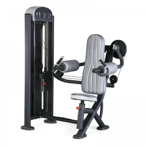 china pantata fitness gym equipment LATERAL DELTOIDS