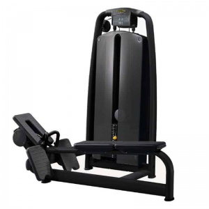 CHINA TECHNEWGYM GYM EQUIPMENT SELECTION Low Pulley machine