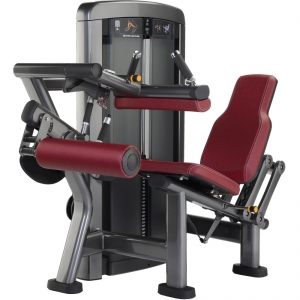 china life gyms fitness equipment Insignia Series Seated Leg Curl Machine