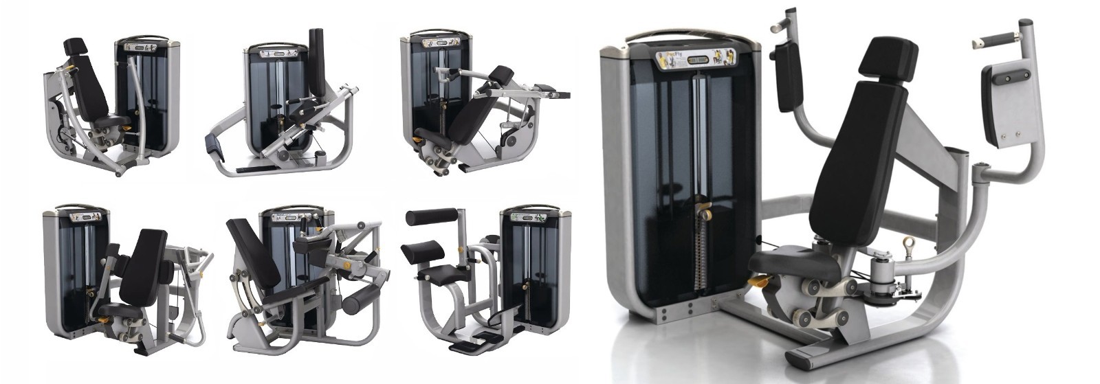 Matrix Fitness - Pin