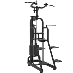 china TECHNOGYM fitness equipment SELECTION Assist Chin Dip dual-function machine