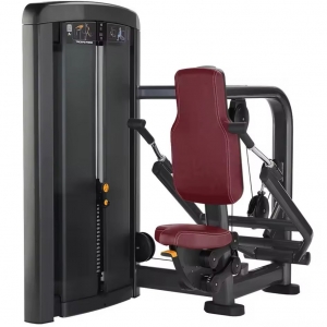 china Professional Strength Training Gym Equipment Triceps Press Machine