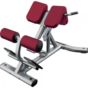 china life fitness body building Lower back bench strength gym equipment 
