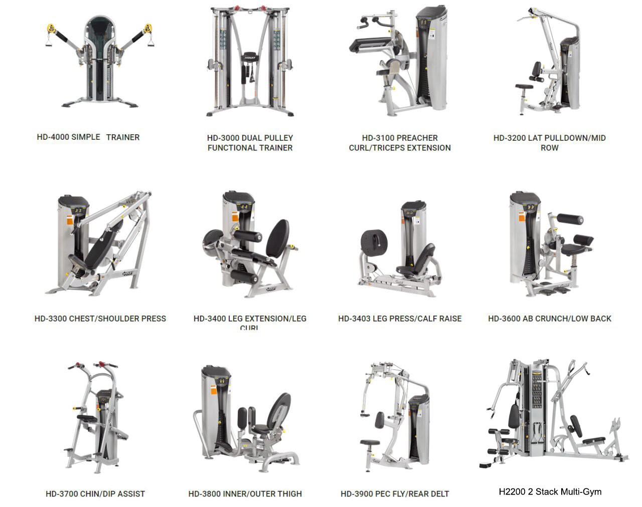 Hoisted Fitness -Pin