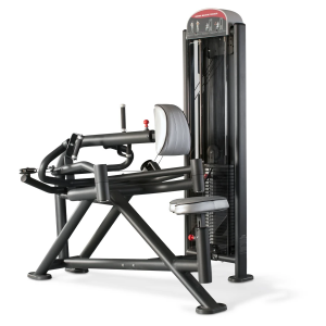 china panata gym workout equipment  Rowing Machine Circular