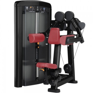 china Lifee Fitness machine Insignia Series Lateral Raise